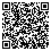 斗笠江湖-九霄服